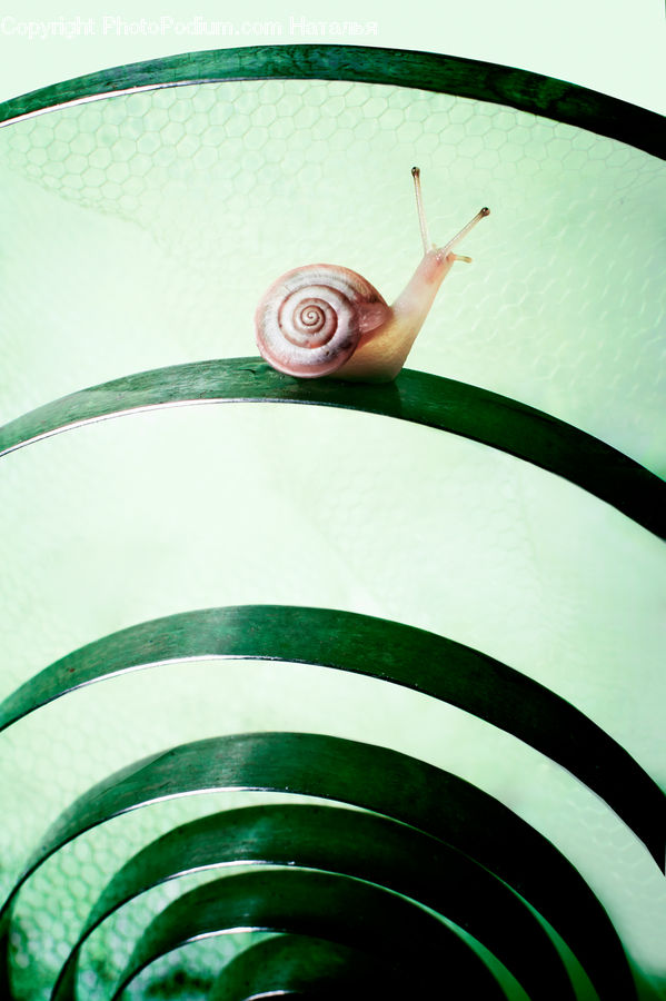 Spiral