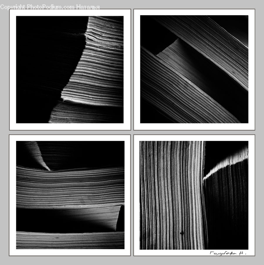 Collage, Poster, Shelf, Curtain, Home Decor, Book, Bookcase