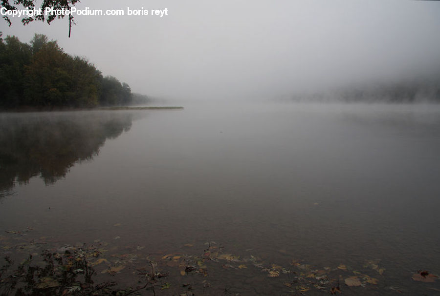 Landscape, Nature, Scenery, Land, Marsh, Pond, Swamp