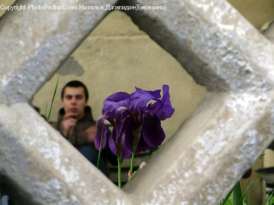 People, Person, Human, Art, Gargoyle, Statue, Blossom
