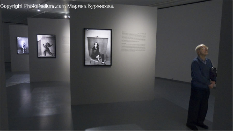 Human, People, Person, Classroom, Speech, Art, Art Gallery