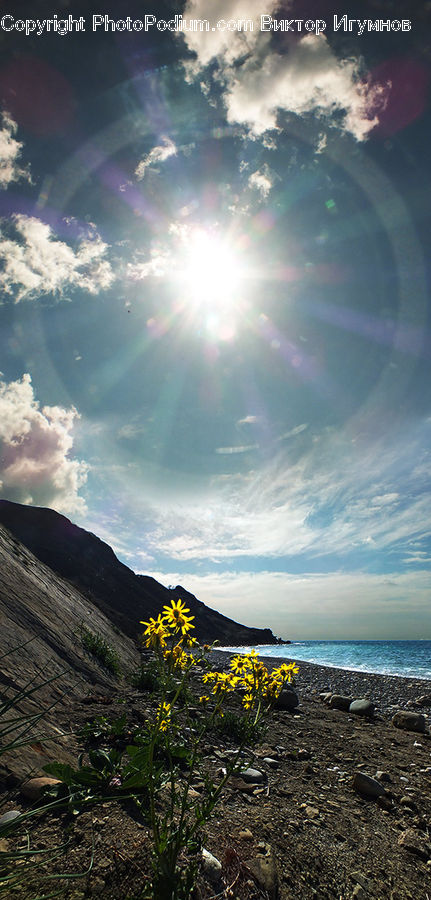 Flare, Light, Sunlight, Azure Sky, Cloud, Outdoors, Sky