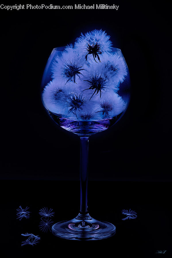 Beverage, Glass, Wine, Wine Glass, Goblet