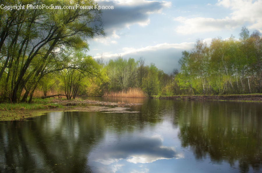 Outdoors, Pond, Water, Field, Grass, Grassland, Plant