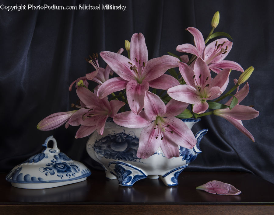 Floral Design, Flower, Flower Arrangement, Flower Bouquet, Ikebana, Blossom, Flora