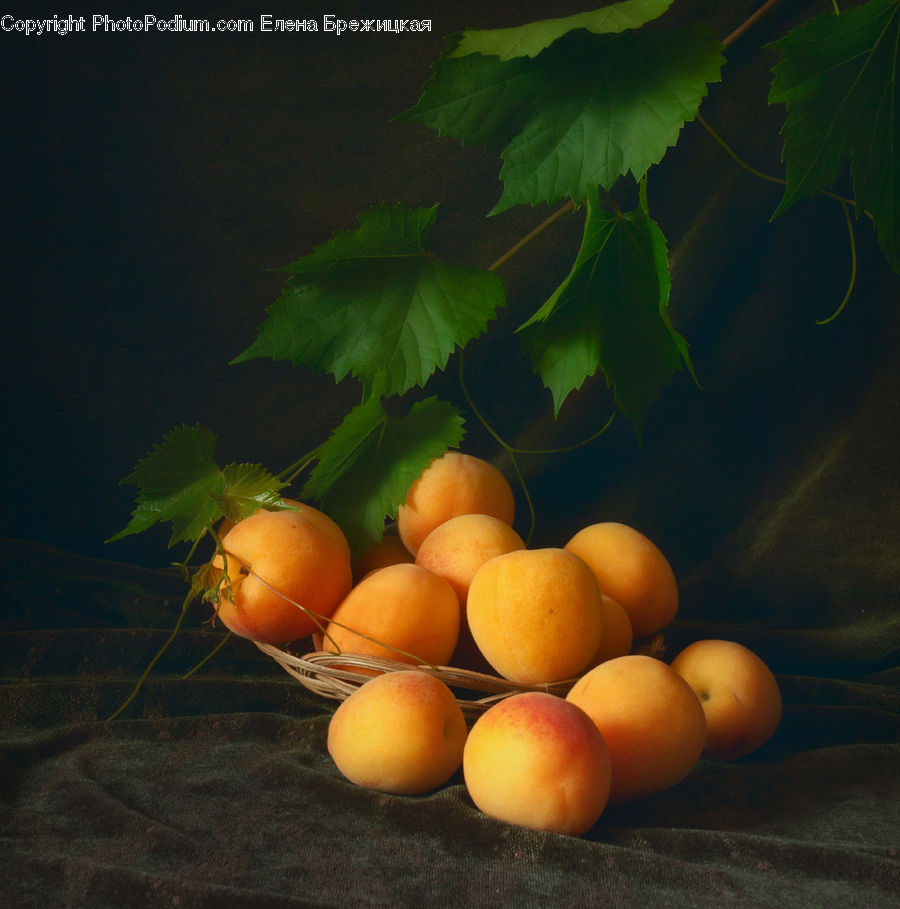 Citrus Fruit, Fruit, Grapefruit, Orange, Produce, Vegetable, Market