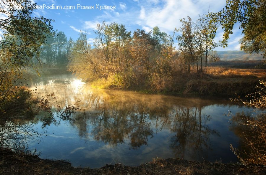Outdoors, Pond, Water, Land, Marsh, Swamp, Field