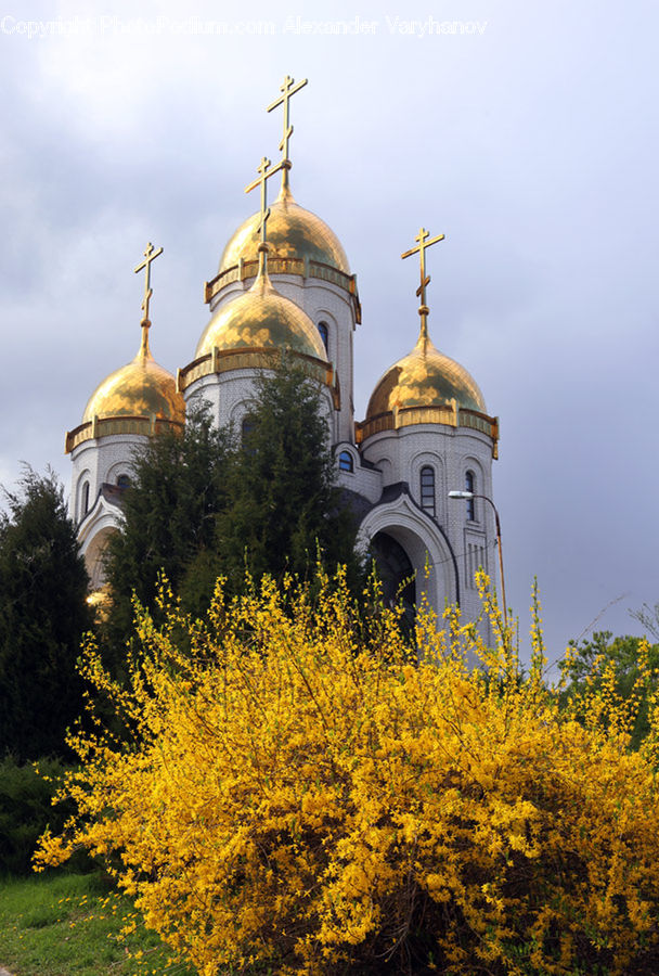Architecture, Dome, Castle, Fort, Church, Worship, Cathedral