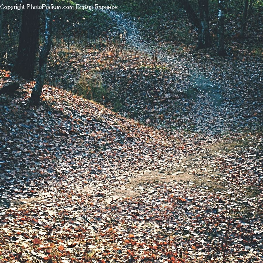 Cobblestone, Pavement, Walkway, Dirt Road, Gravel, Road, Flagstone