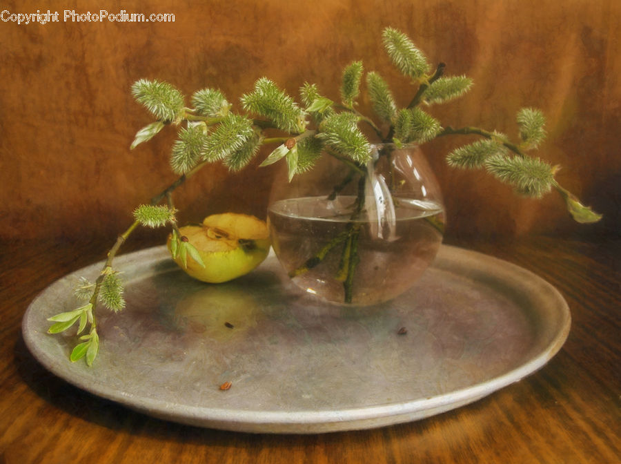 Plant, Potted Plant, Glass, Goblet, Cactus, Table, Tabletop