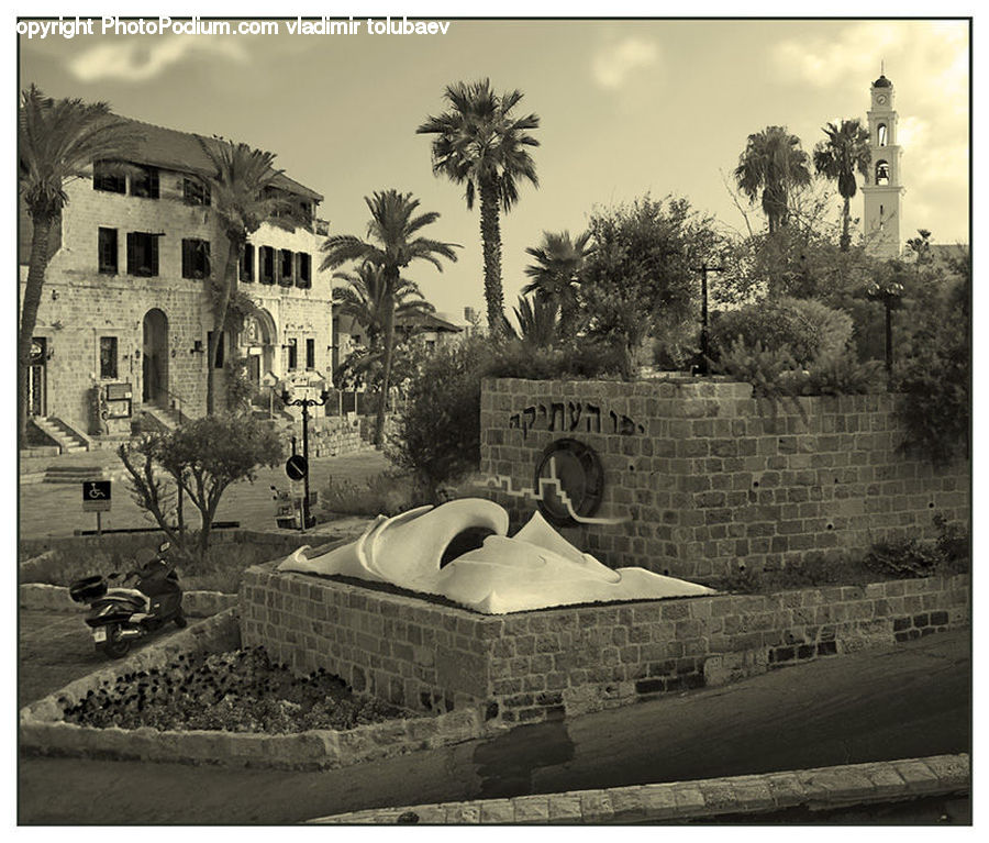 Palm Tree, Plant, Tree, Building, Housing, Villa, Classroom