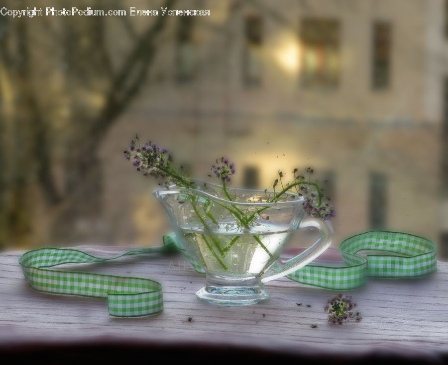 Plant, Potted Plant, Dill, Glass, Goblet, Coffee Table, Furniture