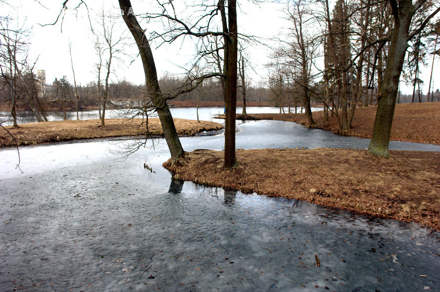 Land, Marsh, Outdoors, Swamp, Water, Plant, Tree