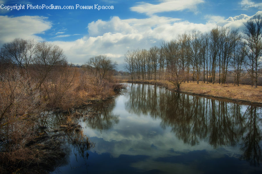Land, Marsh, Outdoors, Swamp, Water, Ditch, Field