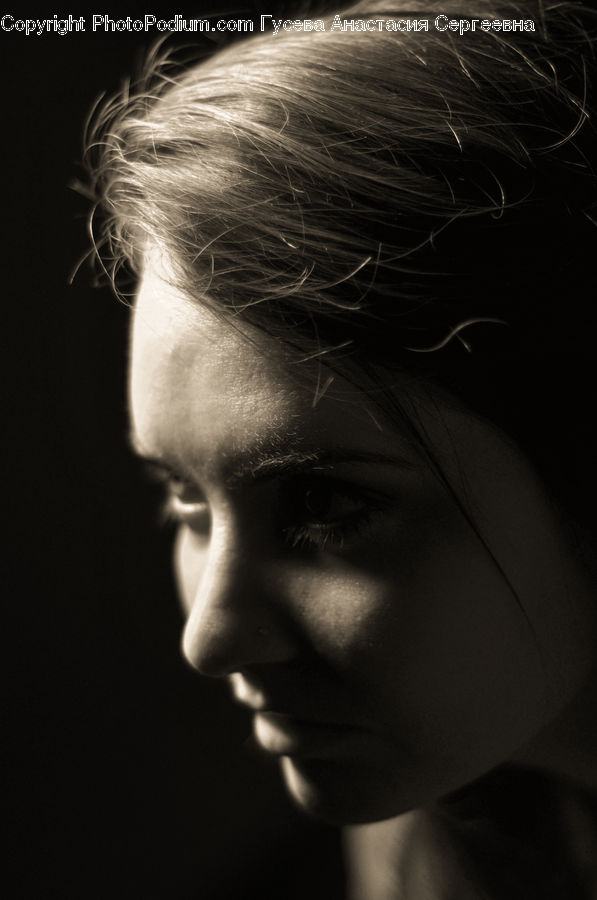 Face, Female, Girl, Person, Woman, Head