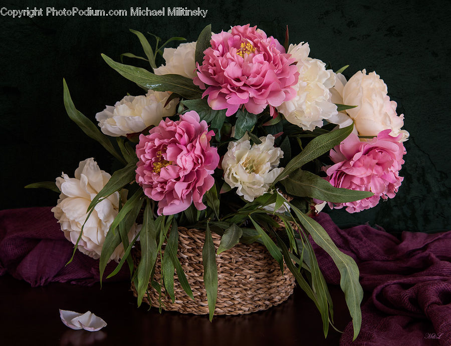 Floral Design, Flower, Flower Arrangement, Flower Bouquet, Ikebana, Blossom, Peony