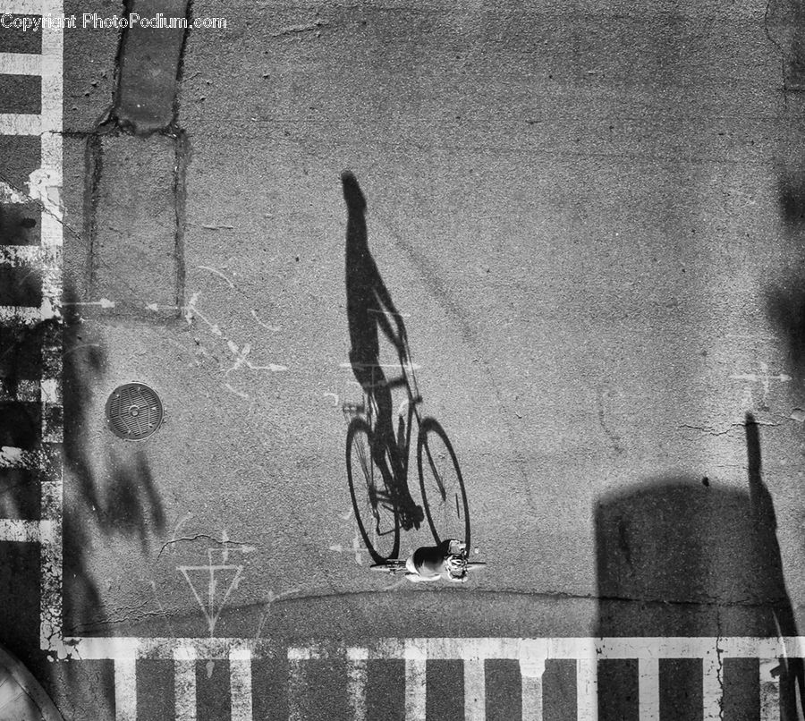 Asphalt, Tarmac, Bicycle, Bike, Vehicle, Brick, Cyclist