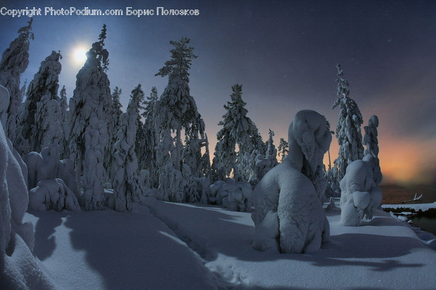 People, Person, Human, Ice, Outdoors, Snow, Art