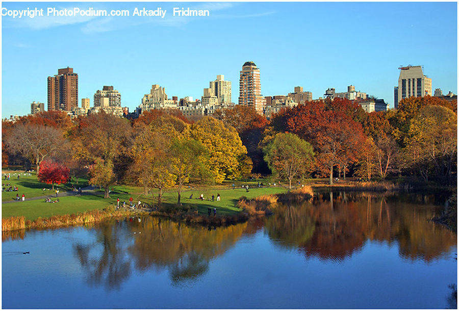 Architecture, Castle, Fort, Park, City, Downtown, Metropolis
