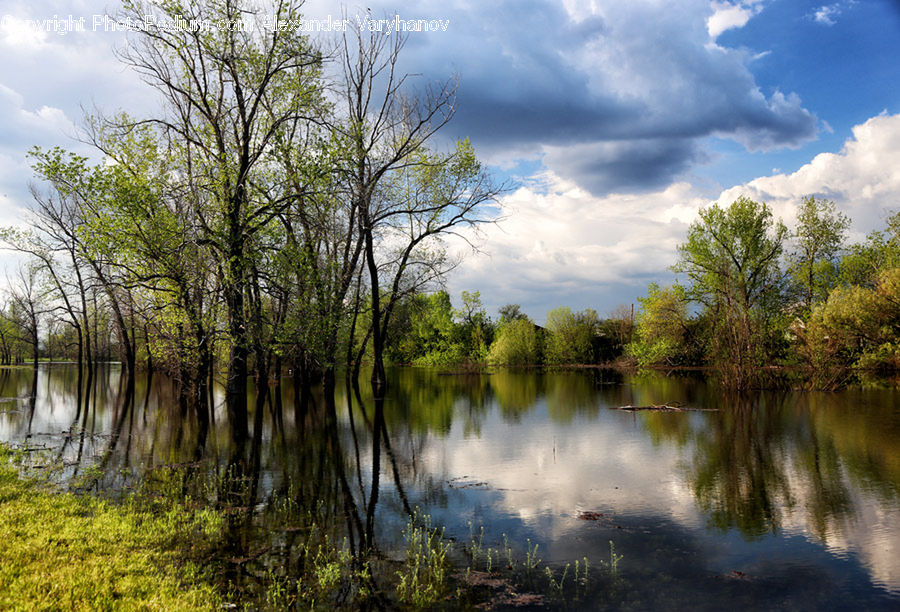 Outdoors, Pond, Water, River, Field, Grass, Grassland