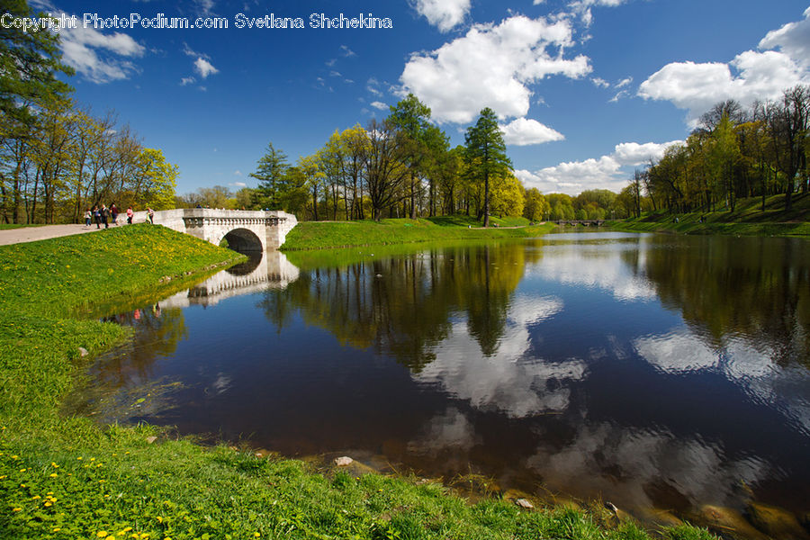 Outdoors, Pond, Water, Field, Grass, Grassland, Plant