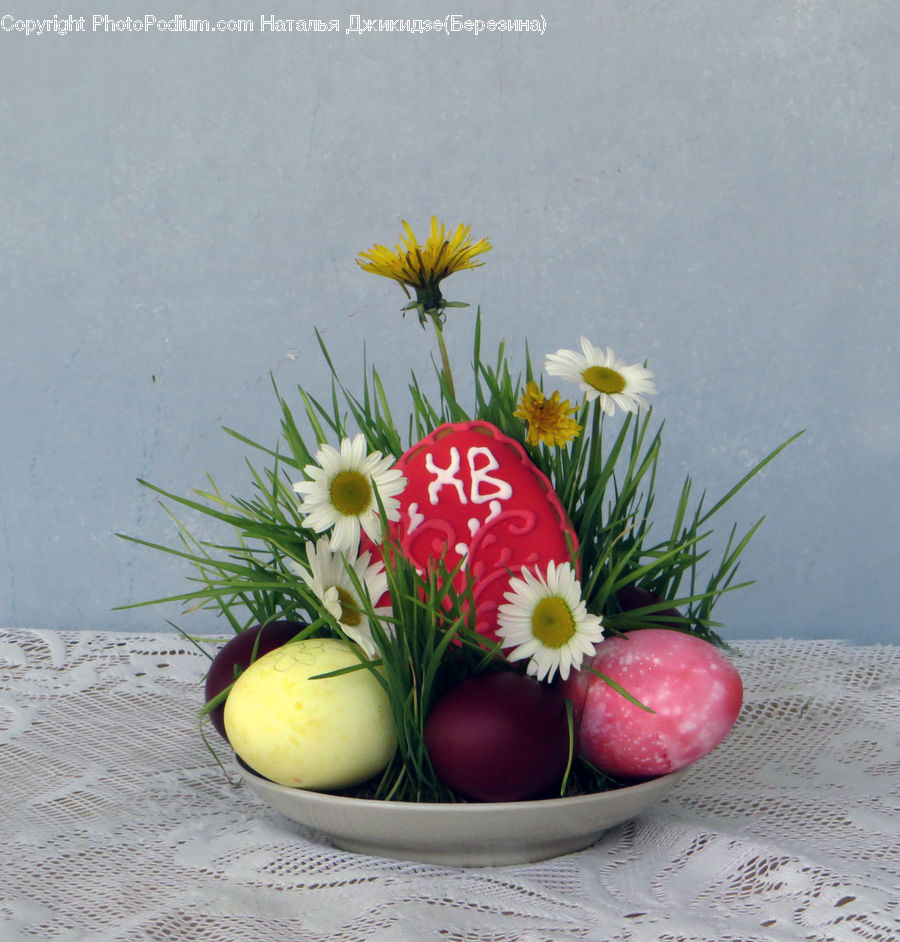 Flower Arrangement, Ikebana, Plant, Potted Plant, Vase, Dandelion, Flower