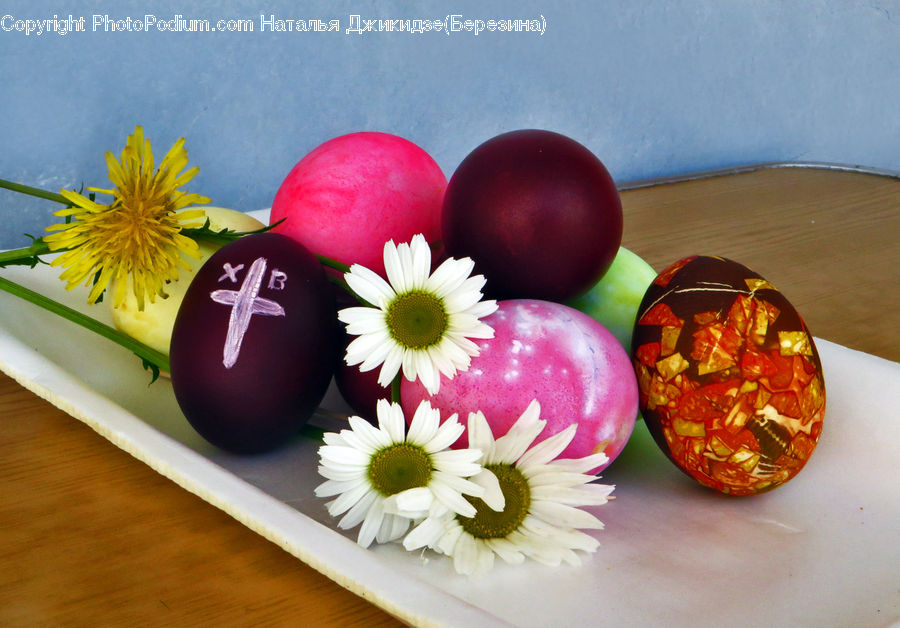 Easter Egg, Egg, Flower Arrangement, Ikebana, Plant, Potted Plant, Vase