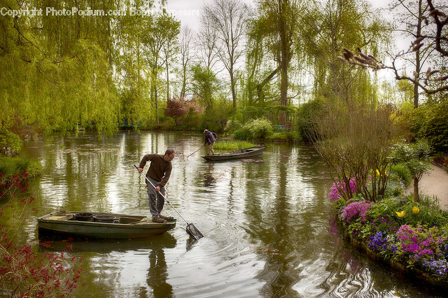 Land, Marsh, Outdoors, Swamp, Water, Canal, River