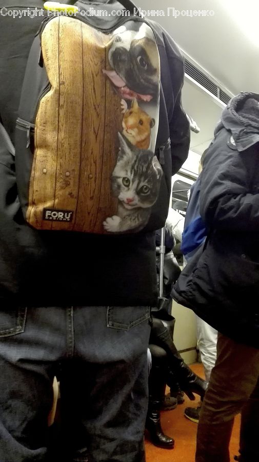 People, Person, Human, Backpack, Bag, Abyssinian, Animal