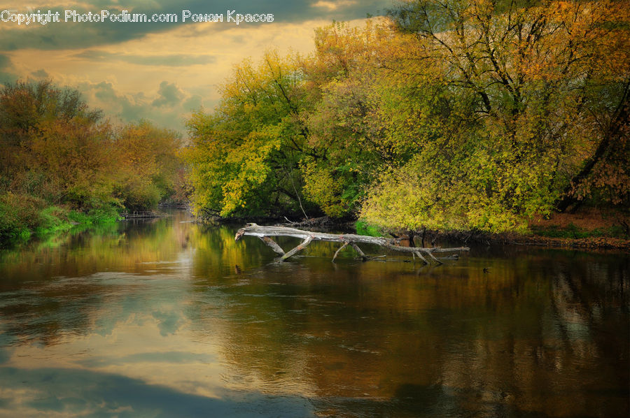 Outdoors, River, Water, Pond, Dawn, Dusk, Sky
