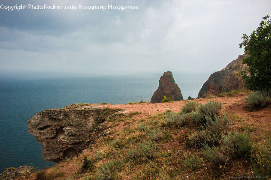 Cliff, Outdoors, Coast, Sea, Water, Rock, Blossom