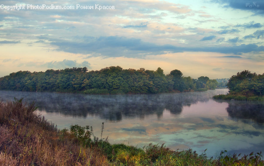 Bush, Plant, Vegetation, Lake, Outdoors, Water, Dawn