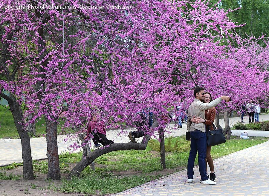 Human, People, Person, Blossom, Flora, Flower, Plant
