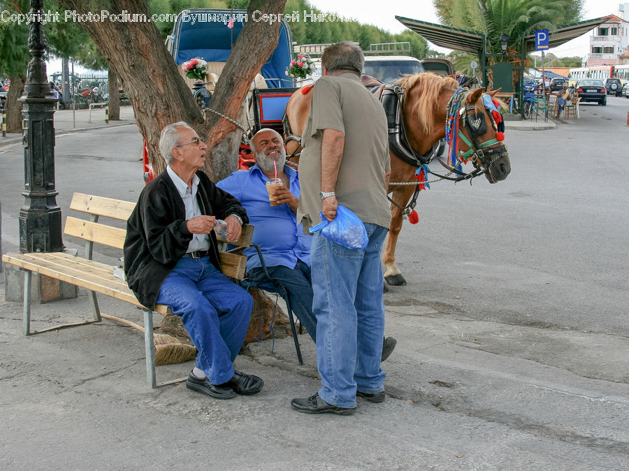 People, Person, Human, Animal, Horse, Mammal, Building