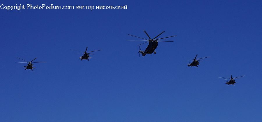 Aircraft, Airliner, Flight, Bird, Crane Bird, Heron, Adventure
