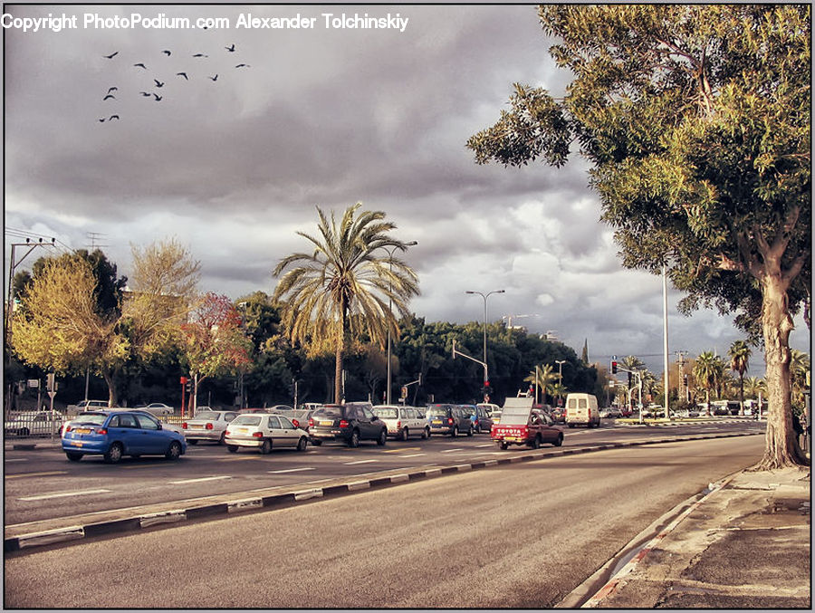 Freeway, Road, Outdoors, Storm, Weather, Building, Housing