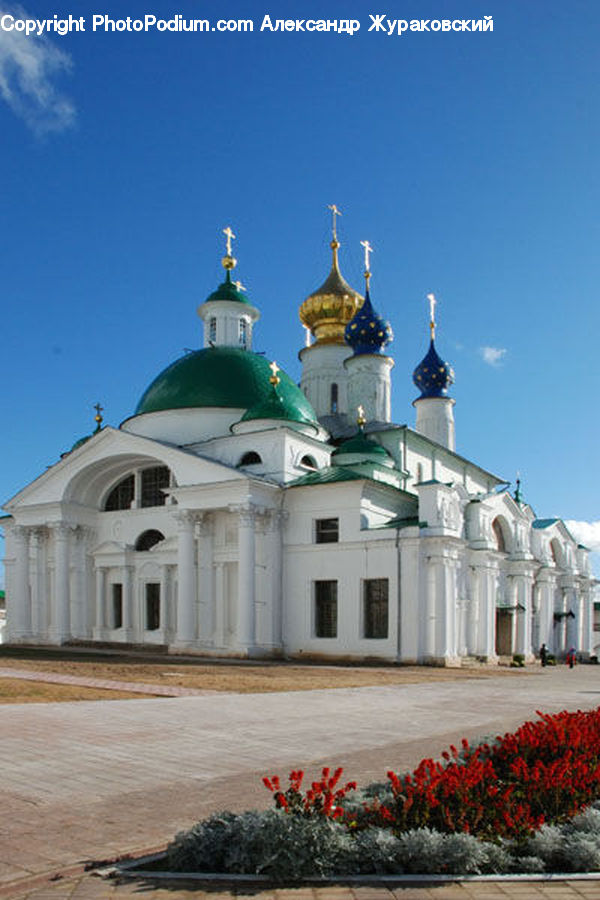 Plant, Potted Plant, Architecture, Dome, Housing, Monastery, Bush