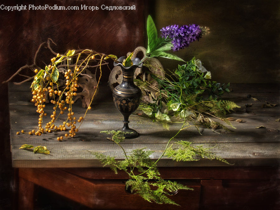 Plant, Potted Plant, Jar, Porcelain, Vase, Herbal, Herbs
