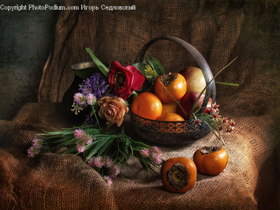 Blossom, Flower, Plant, Rose, Bowl, Potted Plant, Flower Arrangement