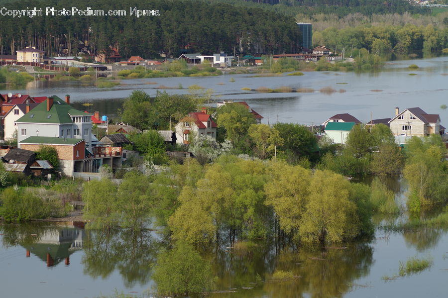 Building, Cottage, Housing, Roof, Downtown, Neighborhood, Town