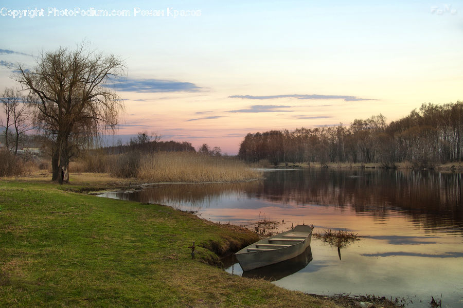 Boat, Rowboat, Vessel, Watercraft, Park, Field, Grass
