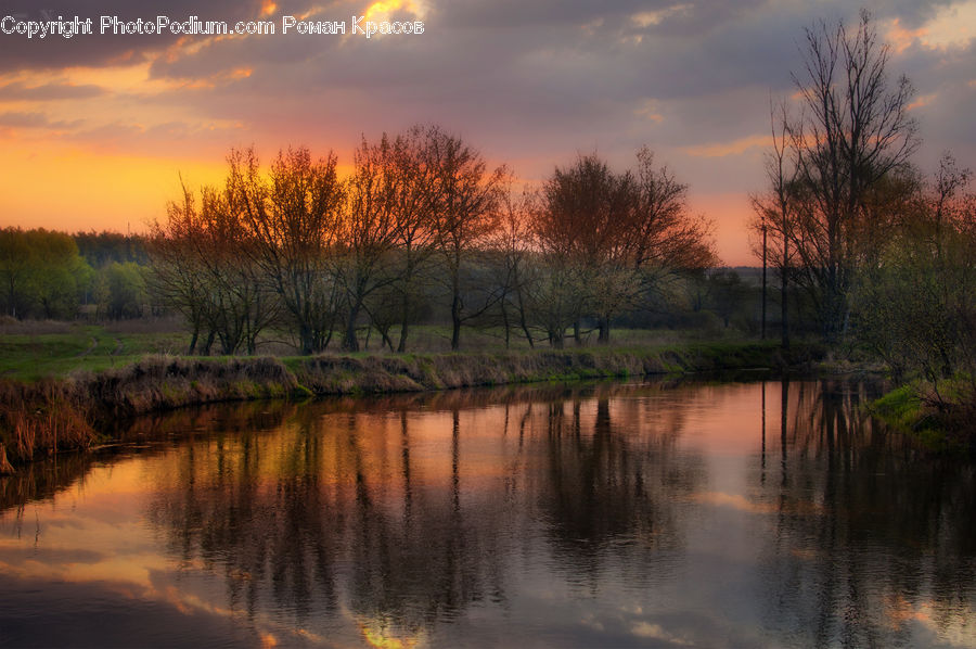 Flood, Forest, Jungle, Rainforest, Vegetation, Water, Dawn