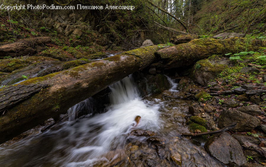 Creek, Outdoors, River, Water, Waterfall, Forest, Vegetation