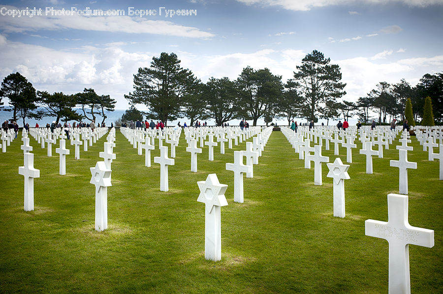 Cross, Tomb, Tombstone, Field, Grass, Lawn
