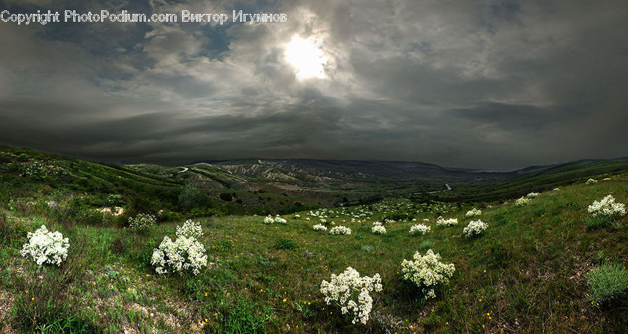 Field, Grass, Grassland, Land, Outdoors, Cloud, Cumulus