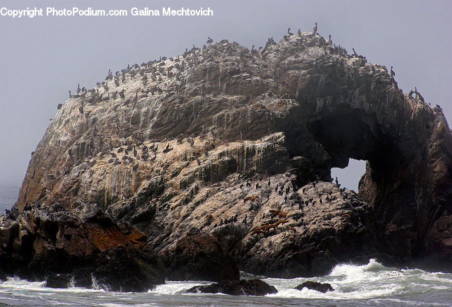 Coast, Cove, Outdoors, Sea, Water, Nature, Hole