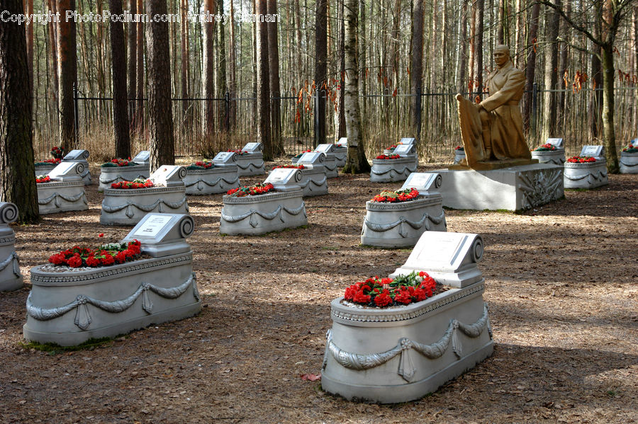 Camping, Art, Sculpture, Statue, Conifer, Fir, Plant