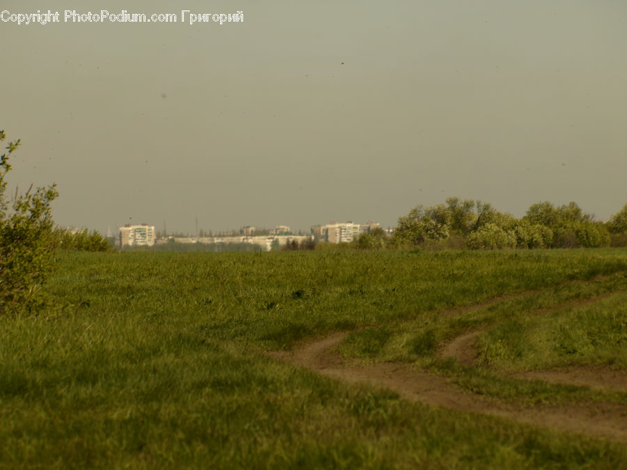 Field, Grass, Grassland, Land, Outdoors, Dirt Road, Gravel