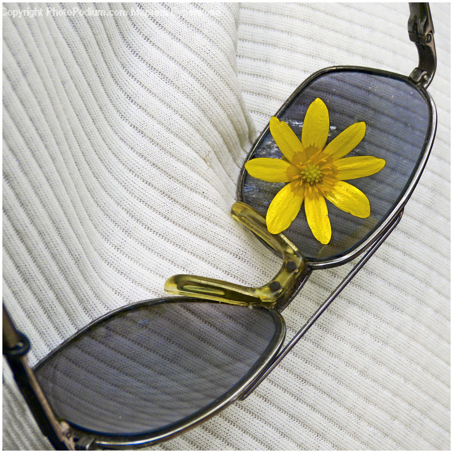 Flower Arrangement, Ikebana, Plant, Potted Plant, Vase, Jewelry, Necklace