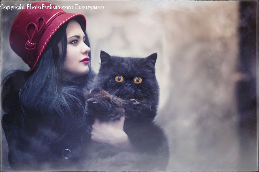 People, Person, Human, Animal, Black Cat, Cat, Mammal
